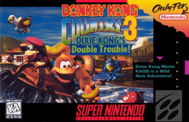 Retro: passo a passo para Donkey Kong Country 3, 103%